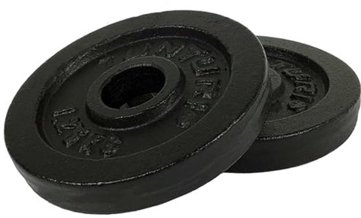 Volwassen Halterschijven Gietijzer 1.25 kg - Zwart - Paar met 30mm Diameter