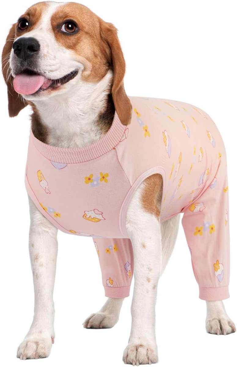 Herstelpak voor honden - vrouwelijke achterpoten postoperatief rompertje roze cake XL