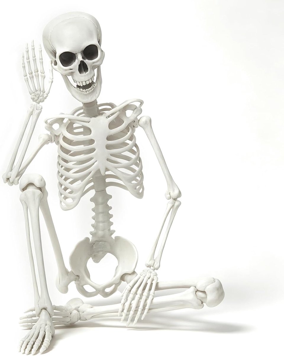90 cm Halloween skelet plastic full-body skelet met beweegbare gewrichten voor Halloween huis tuin huis terras decoraties