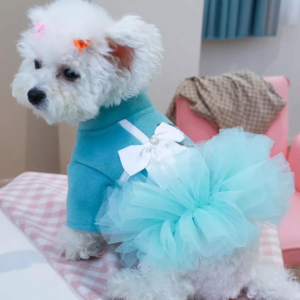 Hondenkleding Meisjes Hondenjurk Jas Winter Tule Tutu Rok Vlinderdas Jas voor Kleine Honden Yorkie Hond Outfit Kleine, Middelgrote en Grote Honden Of Katten Halloween