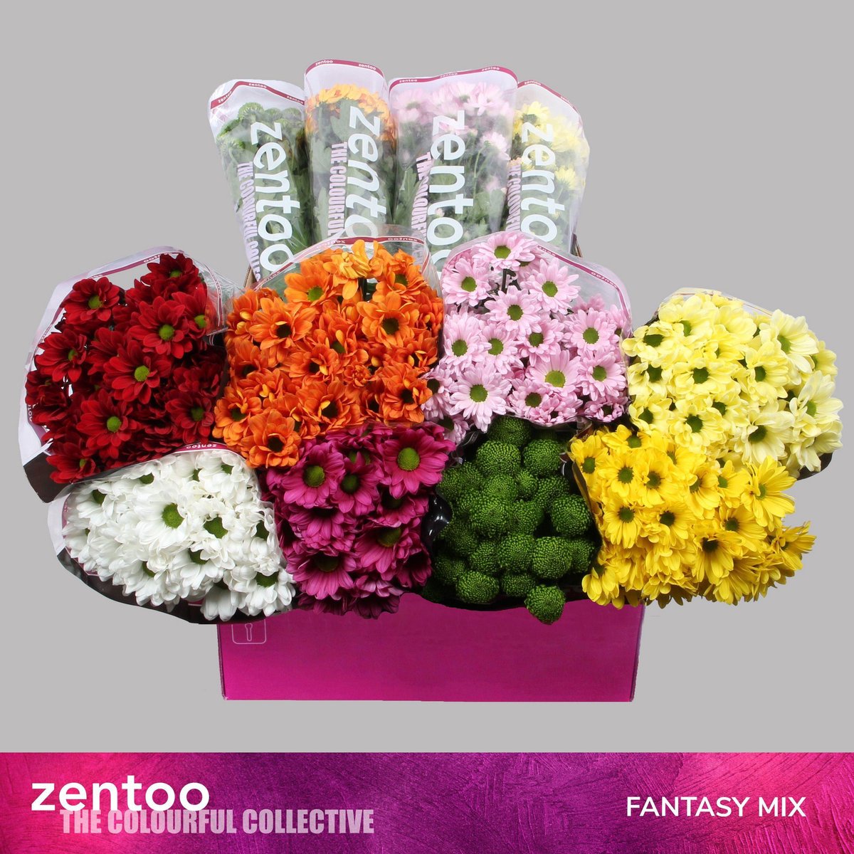 10x Chrysant overig 70cm