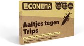 Aaltjes tegen Trips larven – 20 m² – Trips in kamerplanten – kleine beestjes en bladschade