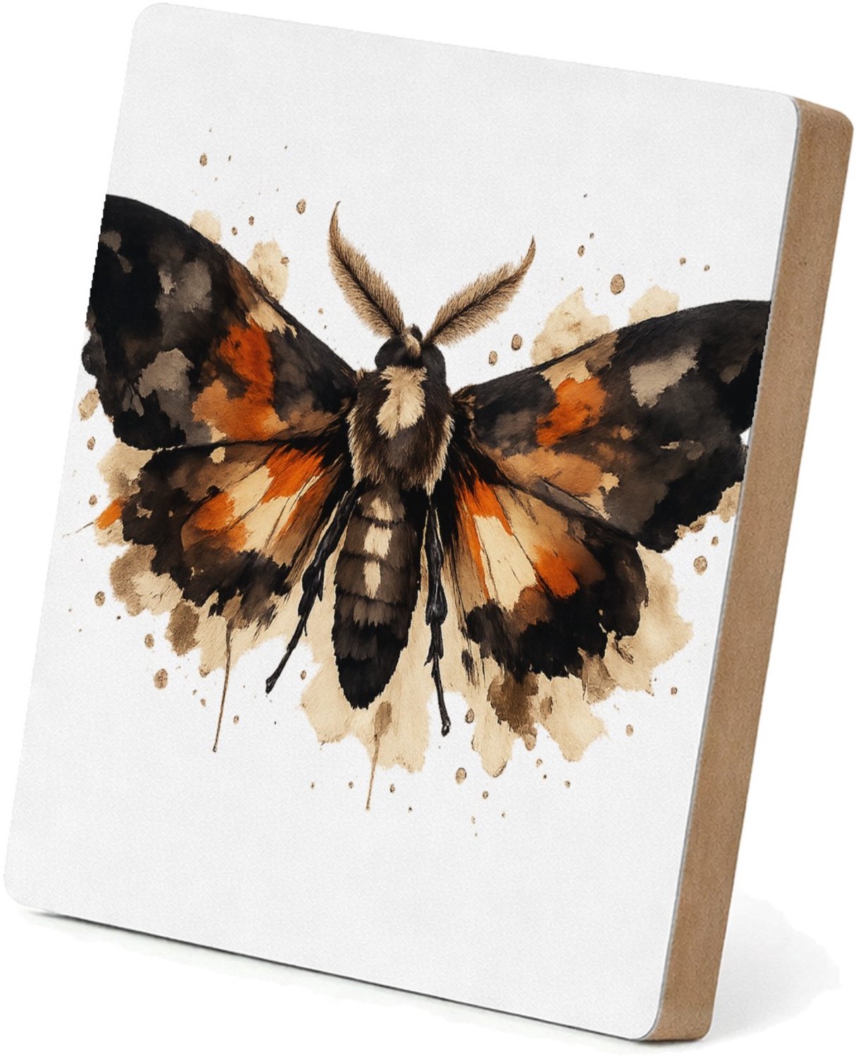 Mr Cadeautjes MDF staande fotolijst 15,2 x 15,2 - design Een dramatisch insect of nachtvlinder met brede vleugels en | cadeau Wit