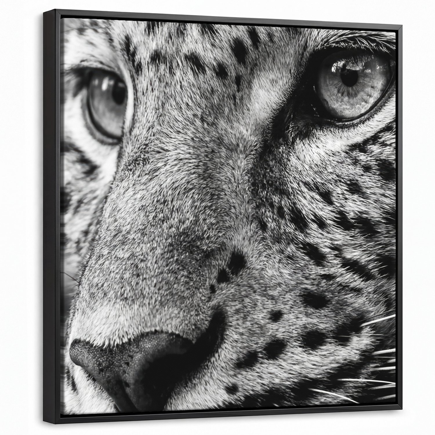 Canvas Schilderij met Baklijst 50x50cm - Luipaard - Zwart - Wit - Oog - Muurdecoratie woonkamer - Slaapkamer decoratie - Kamer accessoires - Schilderijen op canvas met lijst