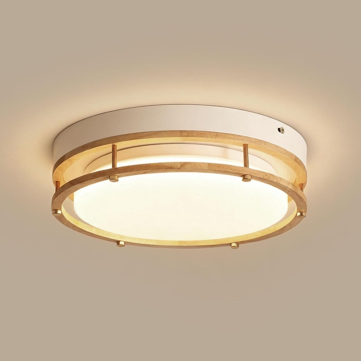 Plafondlamp 20W 4782546