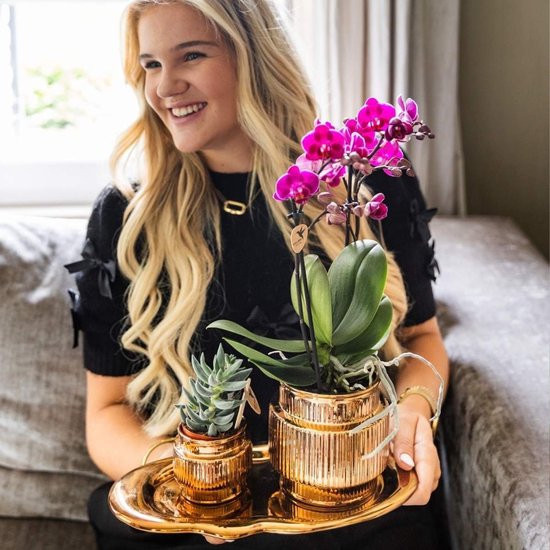Een glimlachende vrouw houdt een gouden dienblad vast met een paarse orchidee en een vetplant in gouden potten.