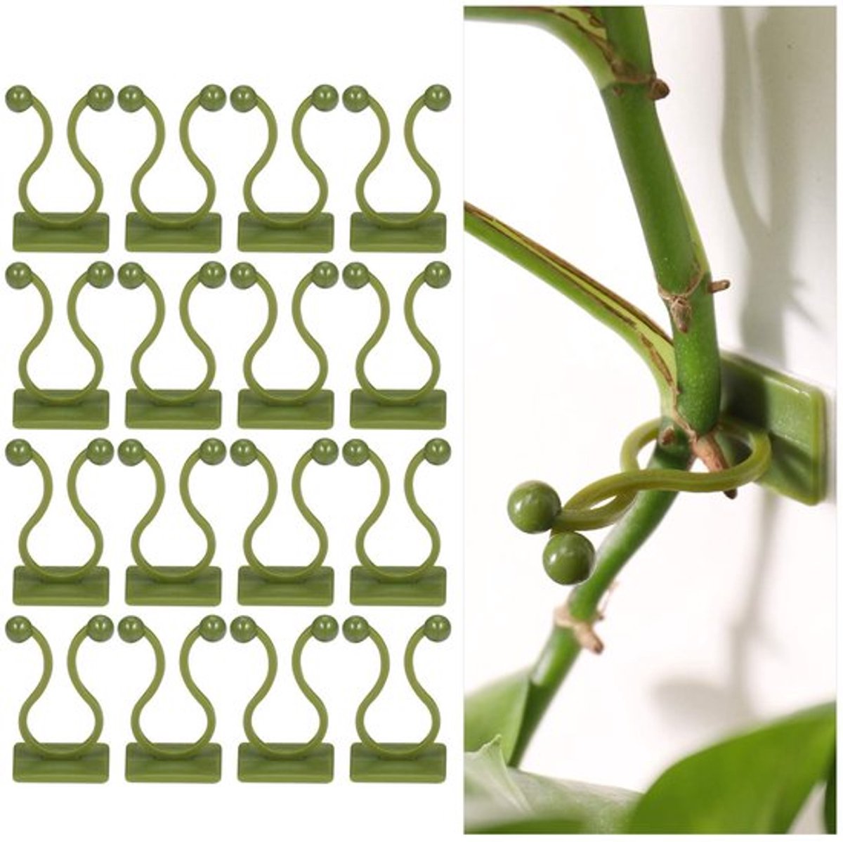 NTHProducts - Plantsteun - Klimplantensteun - Duurzaam en veilig - Groen