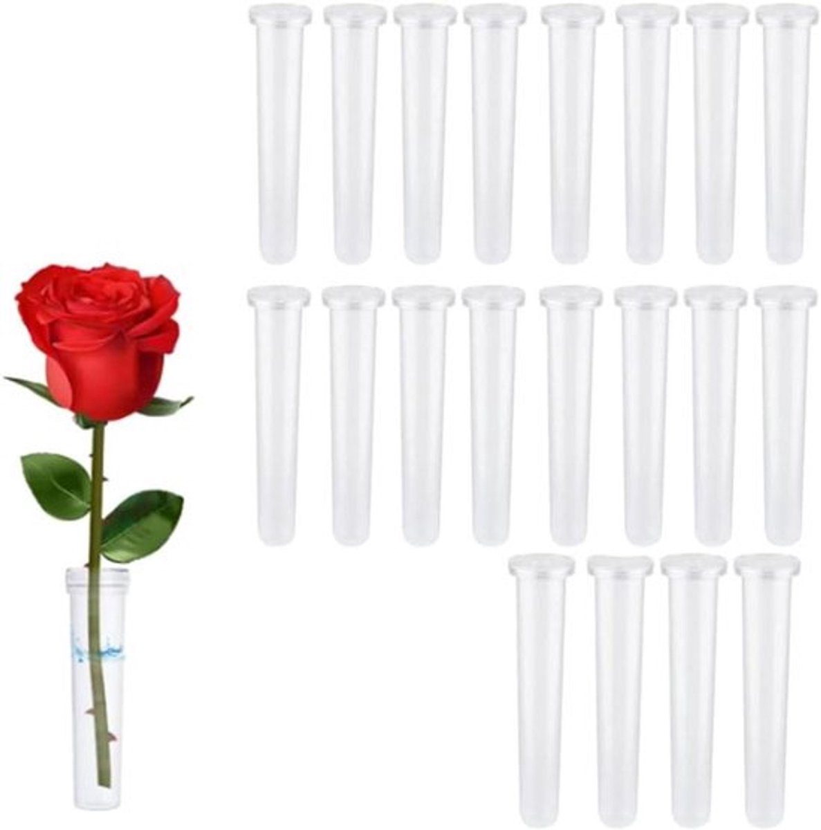 Transparante reageerbuisjes voor bloemen