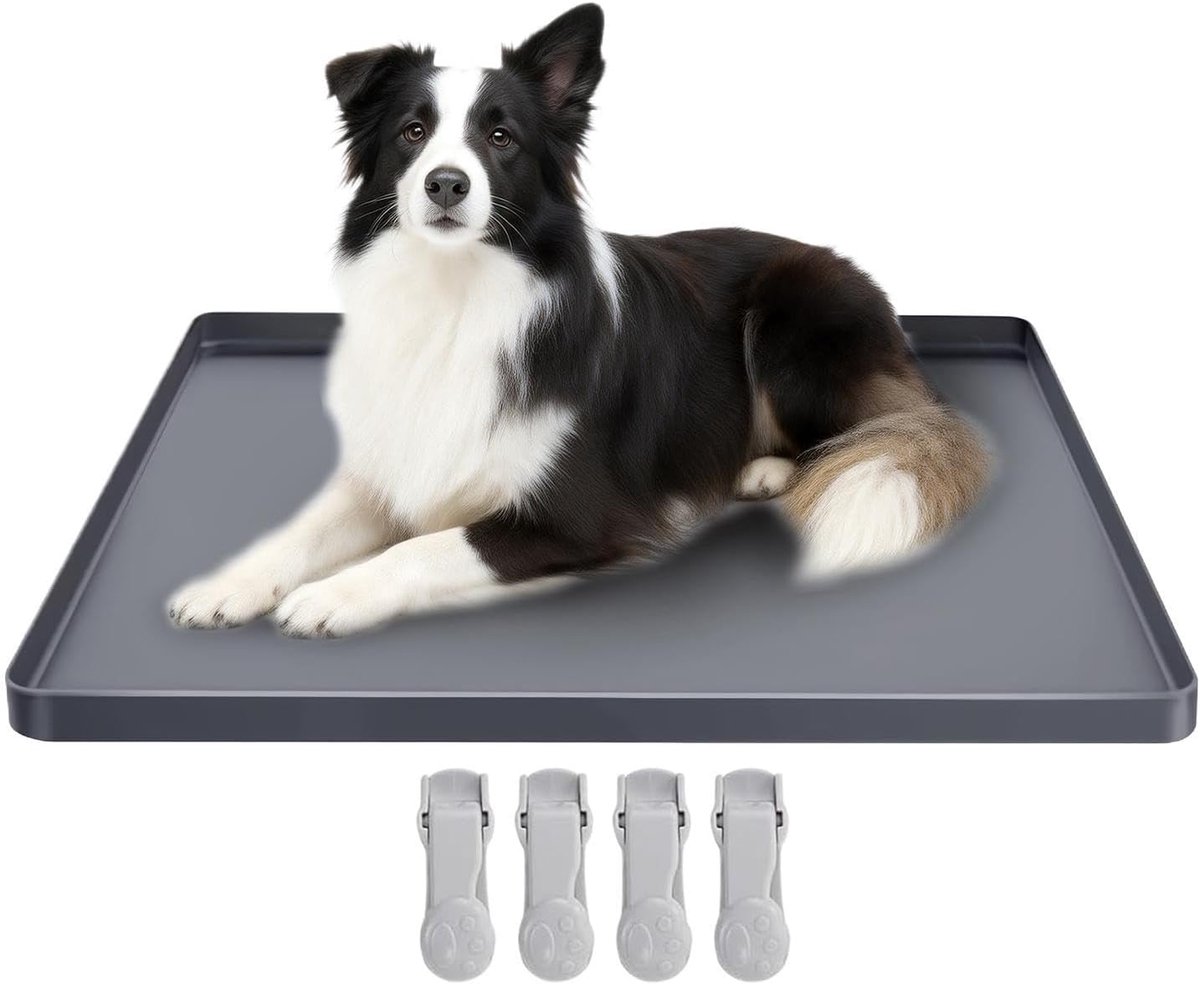 Potje Houder - Hondenmat Tray - Zindelijkheidstraining Hond - Verhoogde Rand - 60x60 cm - Grijs
