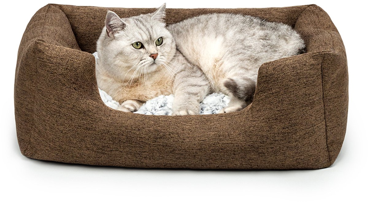 lionto Kattenbed, omkeerbaar kussen & lage instap, 60x50 cm bruin