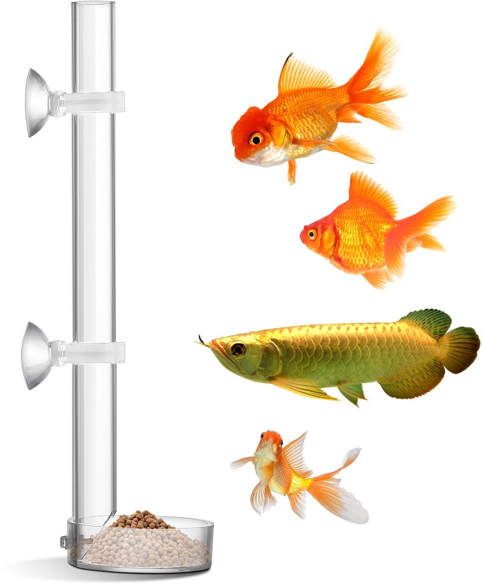 Dailygoods - Transparante Acryl Vissen en Garnalen Voederbuis - Duurzaam Voeder Set voor Aquariums