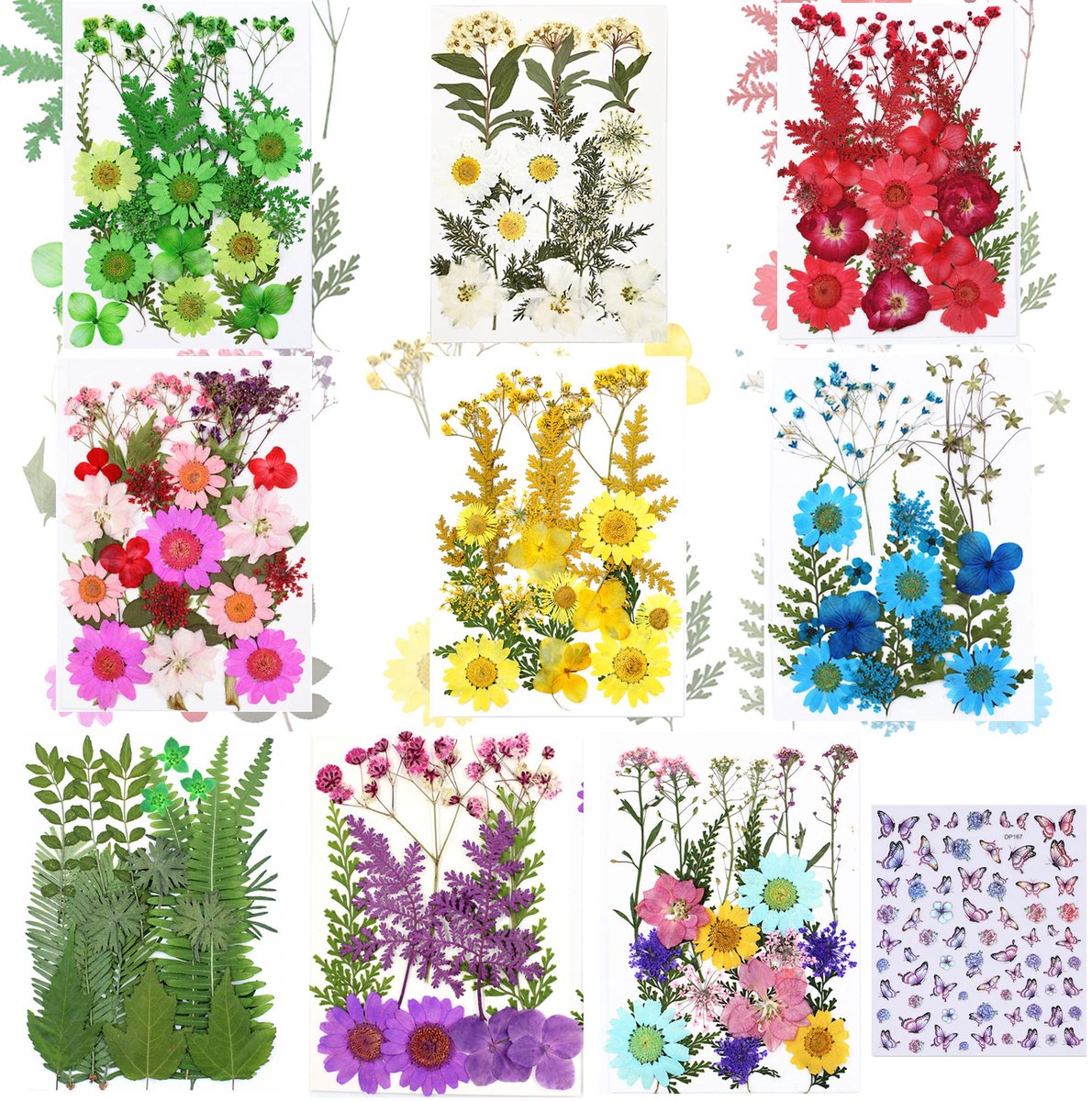 Dailygoods - 8 Stuks Drogen Bloemen voor Resin Mallen - Natuurlijke Geperste Bloemen
