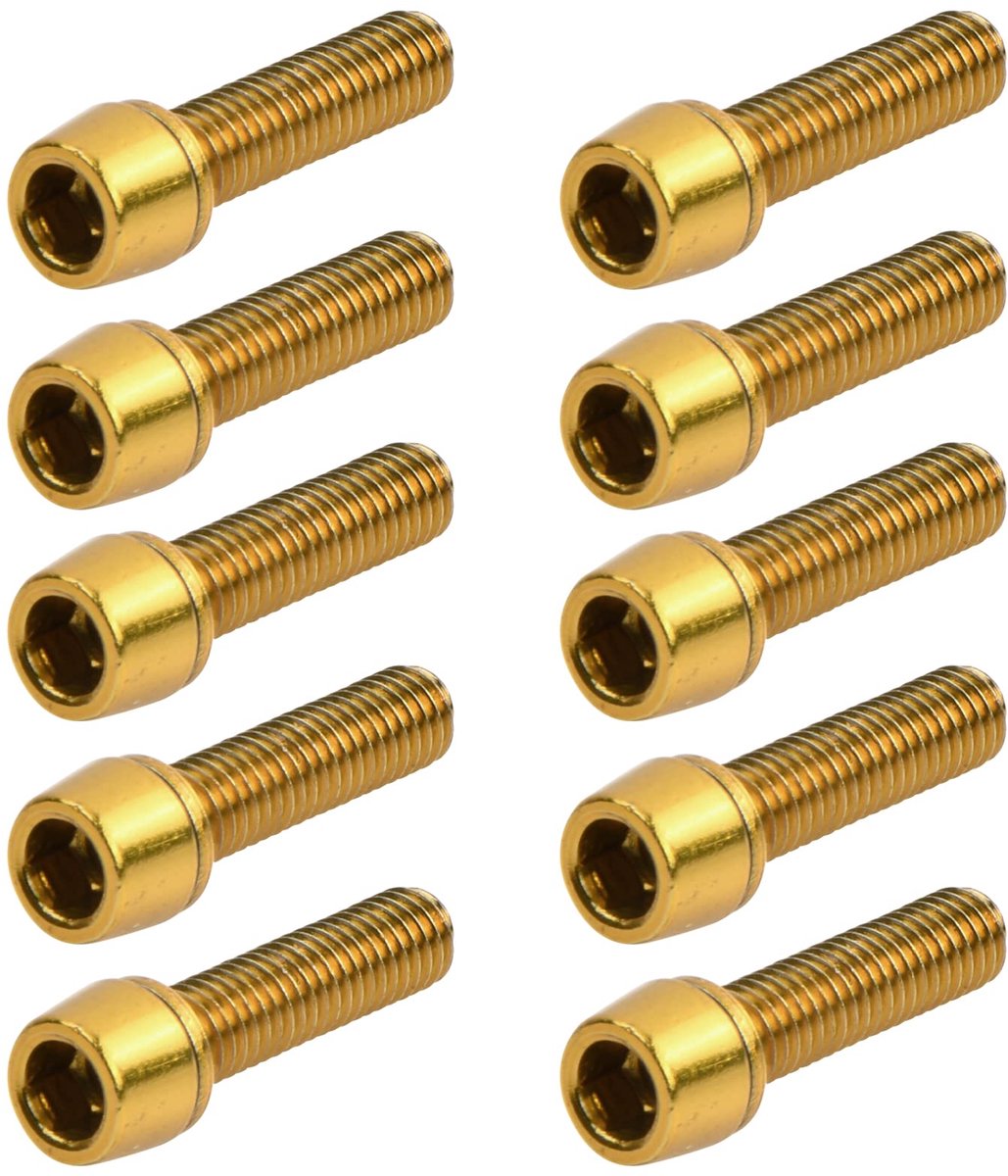 Dailygoods- Fietsstambouten 10 stuks - M5 x 20 mm - Kegelschroeven - Wielschachtschroeven - Lichtgewicht - Gelegeerd staal - Fietsschroeven