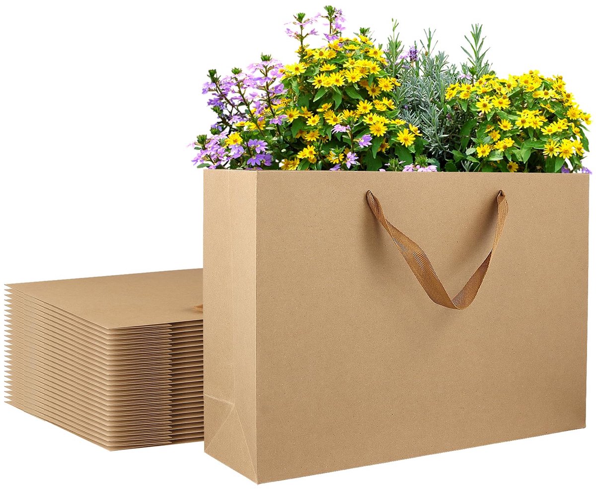 Dailygoods - 25 Stuks Kraft Papieren Tassen met Handvatten - Perfect voor Feestjes en Cadeaus