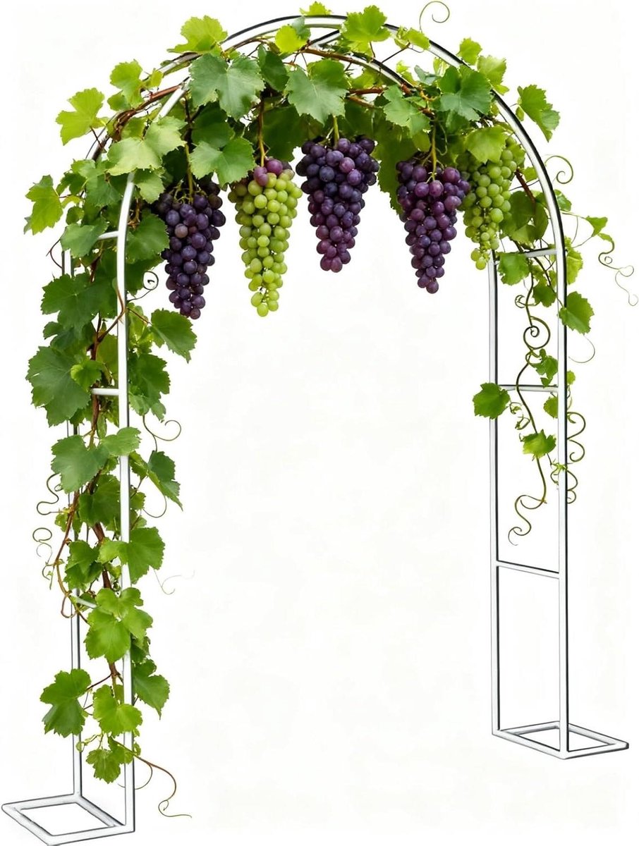 Metalen Tuinboog - Rozenboog Klimplanten - Tuindecoratie - Stevig Gegalvaniseerd Frame - 140 x 230 cm - Wit