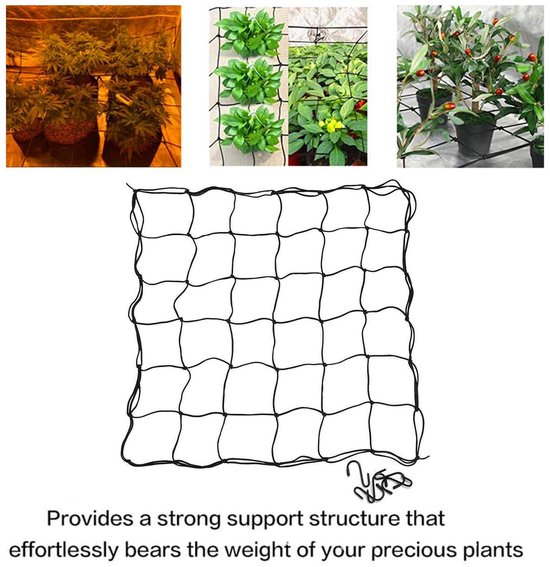 Pflantensteunnet 60x60 cm, Elastisch Kweeknet voor Tuinplanten — afbeelding 5