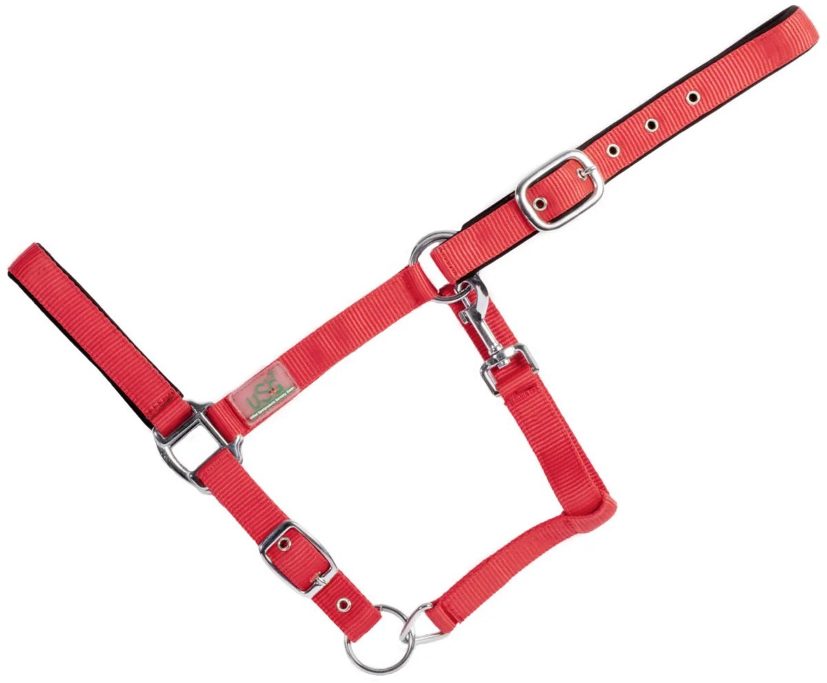 Gewatteerd paardenhalster USG Basic