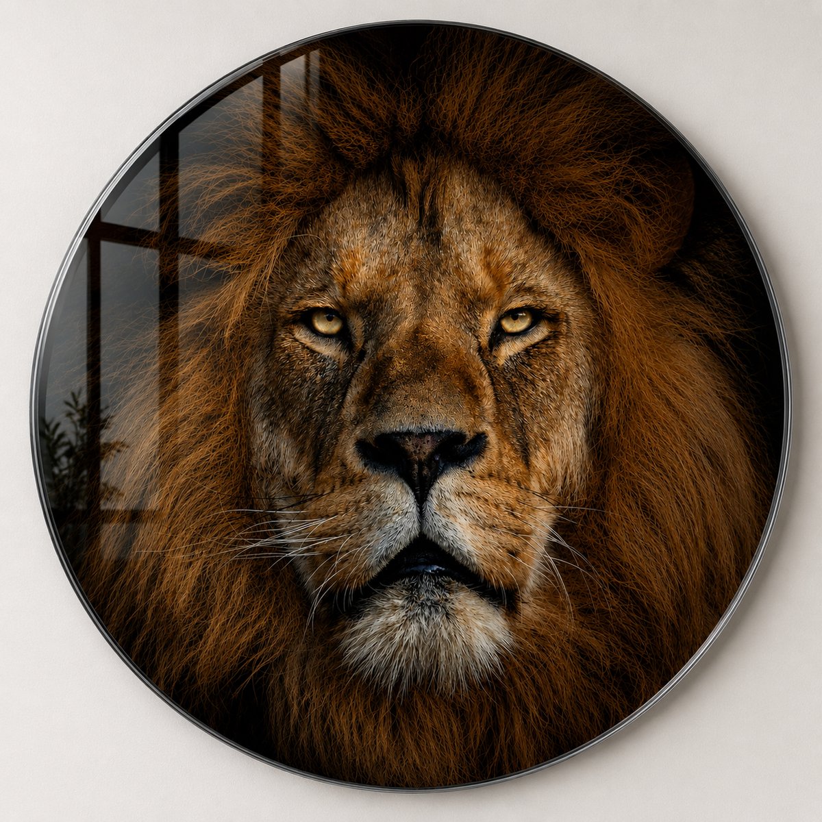 Mydesignglas Glazen Schilderij – Majestueuze Leeuw op Glas – Wanddecoratie op Gehard Glas – ø100cm