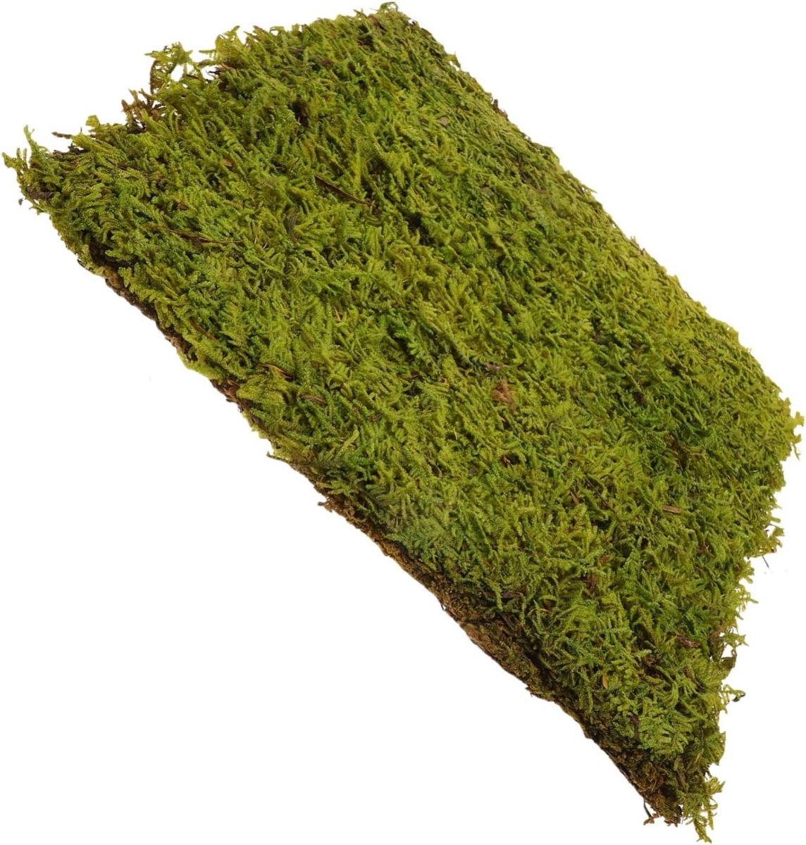 Kunstgras Decoratie - Nepgras Mat - Diorama Bouw - Realistische Simulatie - 30x30 cm - Groen