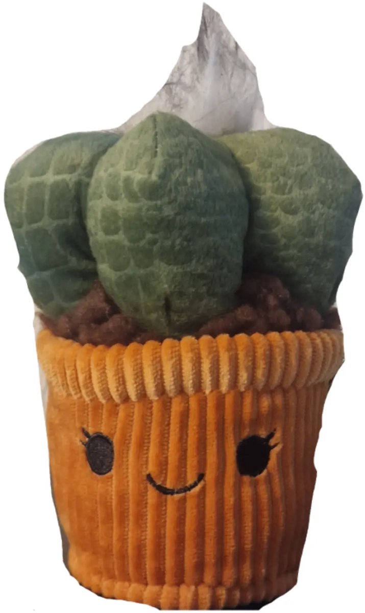 Little Garden Cactus knuffel - Cute - Kawaii - 22 cm