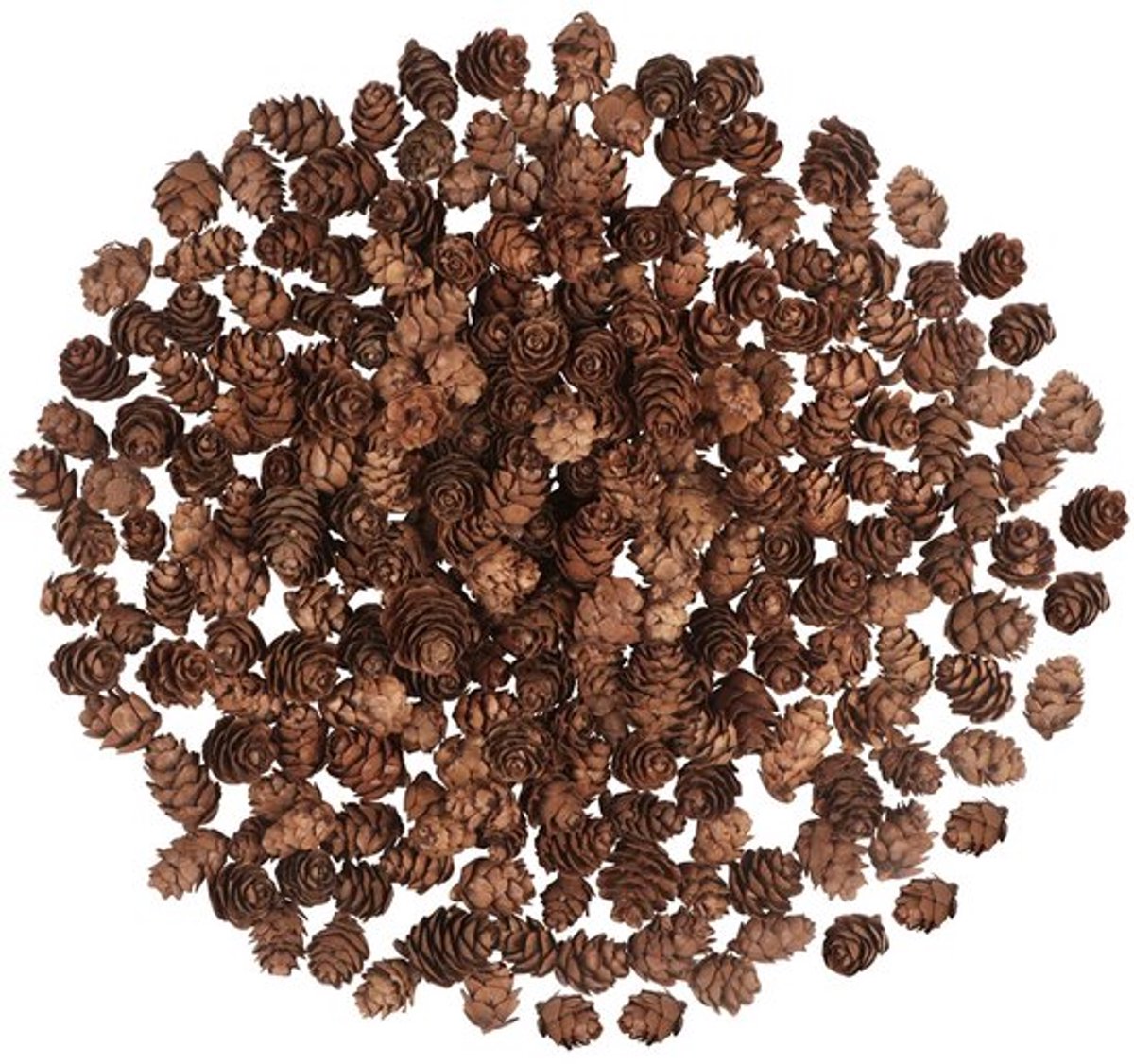 Mini Dennenappels - Natuurlijke Decoratie - Set van 200 stuks