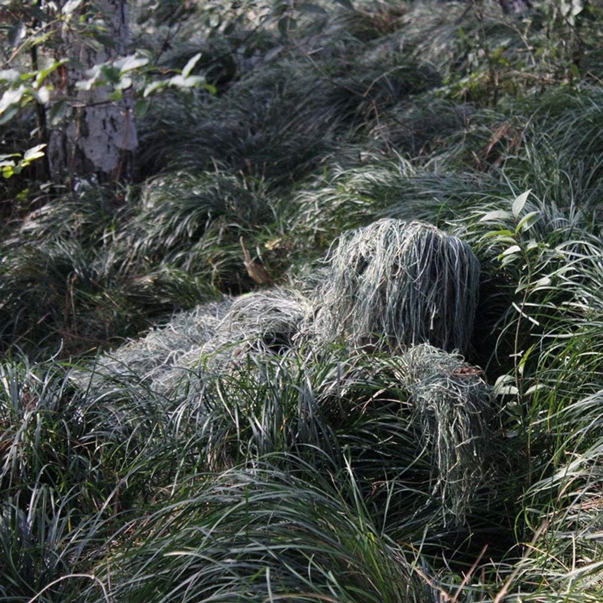 Ghillie Pak Camo Bos Camouflage Bos Jacht Sets 3D Tactische Pakken Sniper Kleding Jacht Outdoor Kostuum voor Unisex Volwassenen en Opbergtas (Ghillie Suit)
