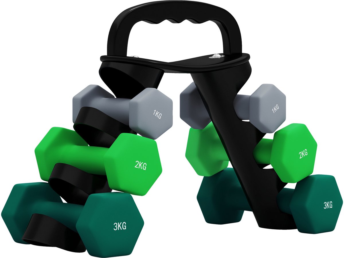 Sogiol® Halterset - Dumbbellset 2 x 1 kg 2 x 2 kg 2 x 3 kg met opbergrek voor fitnessoefeningen