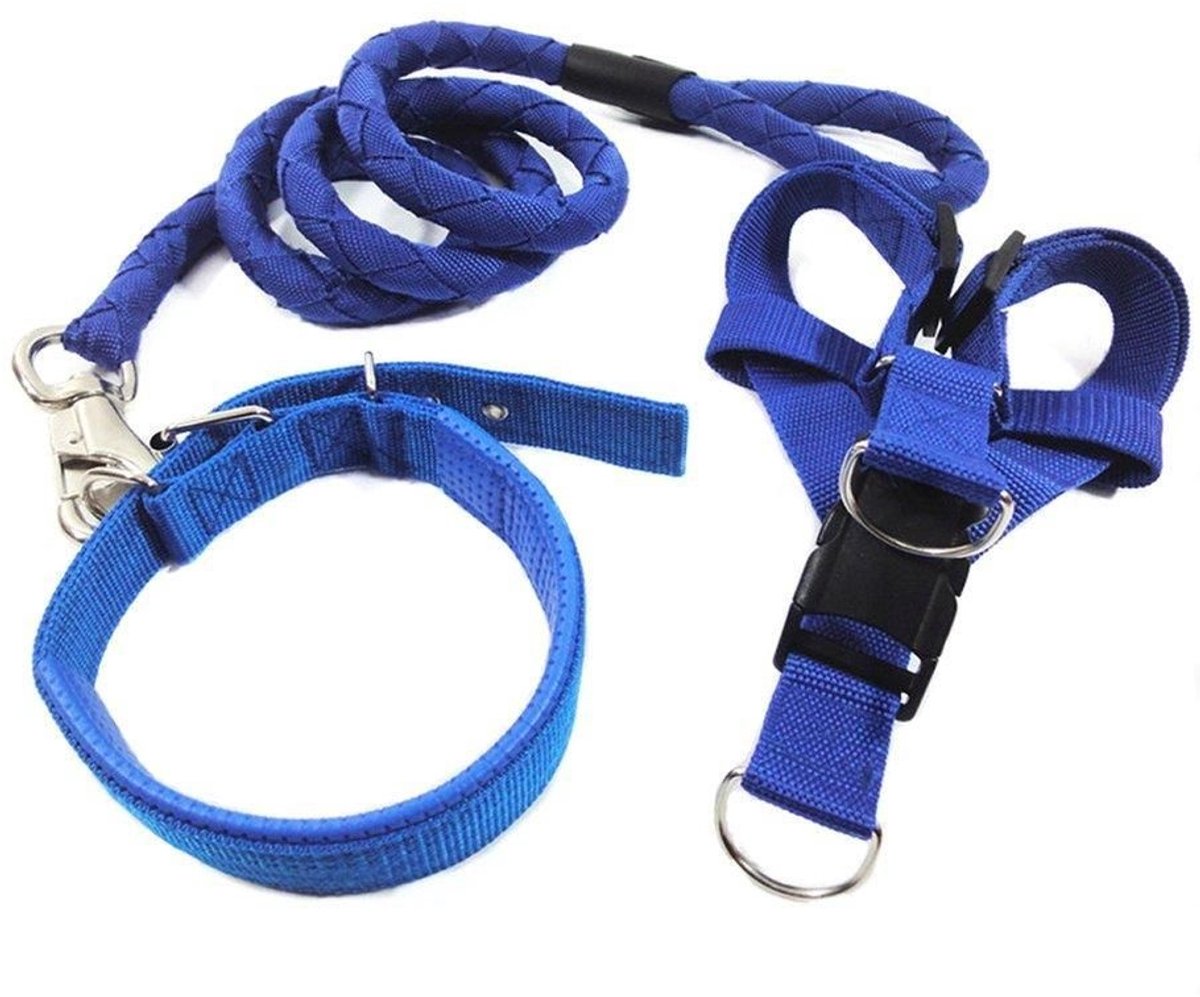 Hondenlijn + harnas + halsband Easy Blauw, 2XL