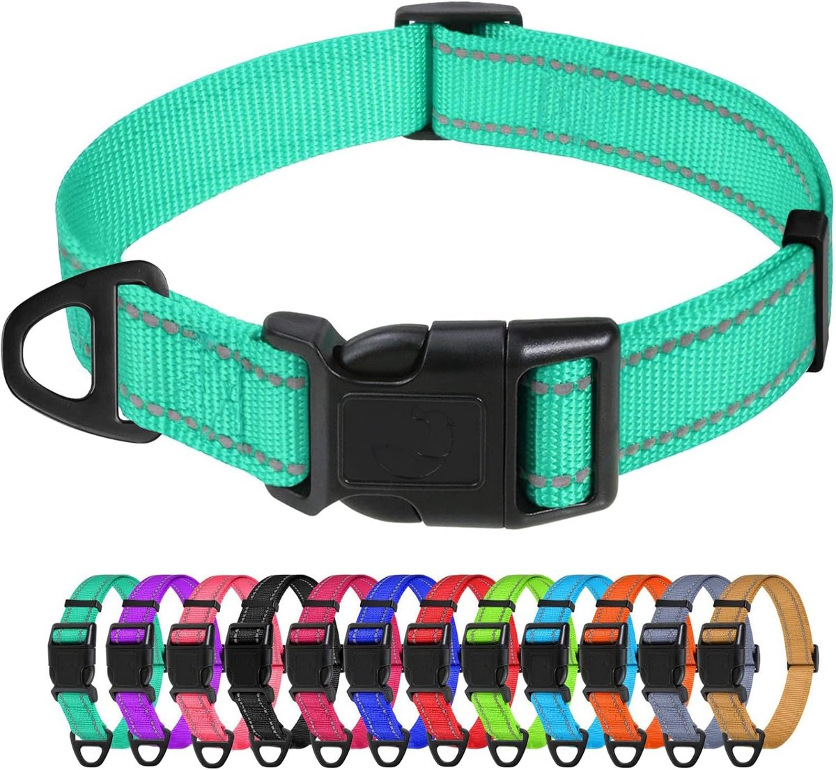 Reflecterende nylon hondenhalsband, verstelbare klassieke halsband met snelsluiting gesp voor middelgrote honden, turquoise, breedte 2,5 cm