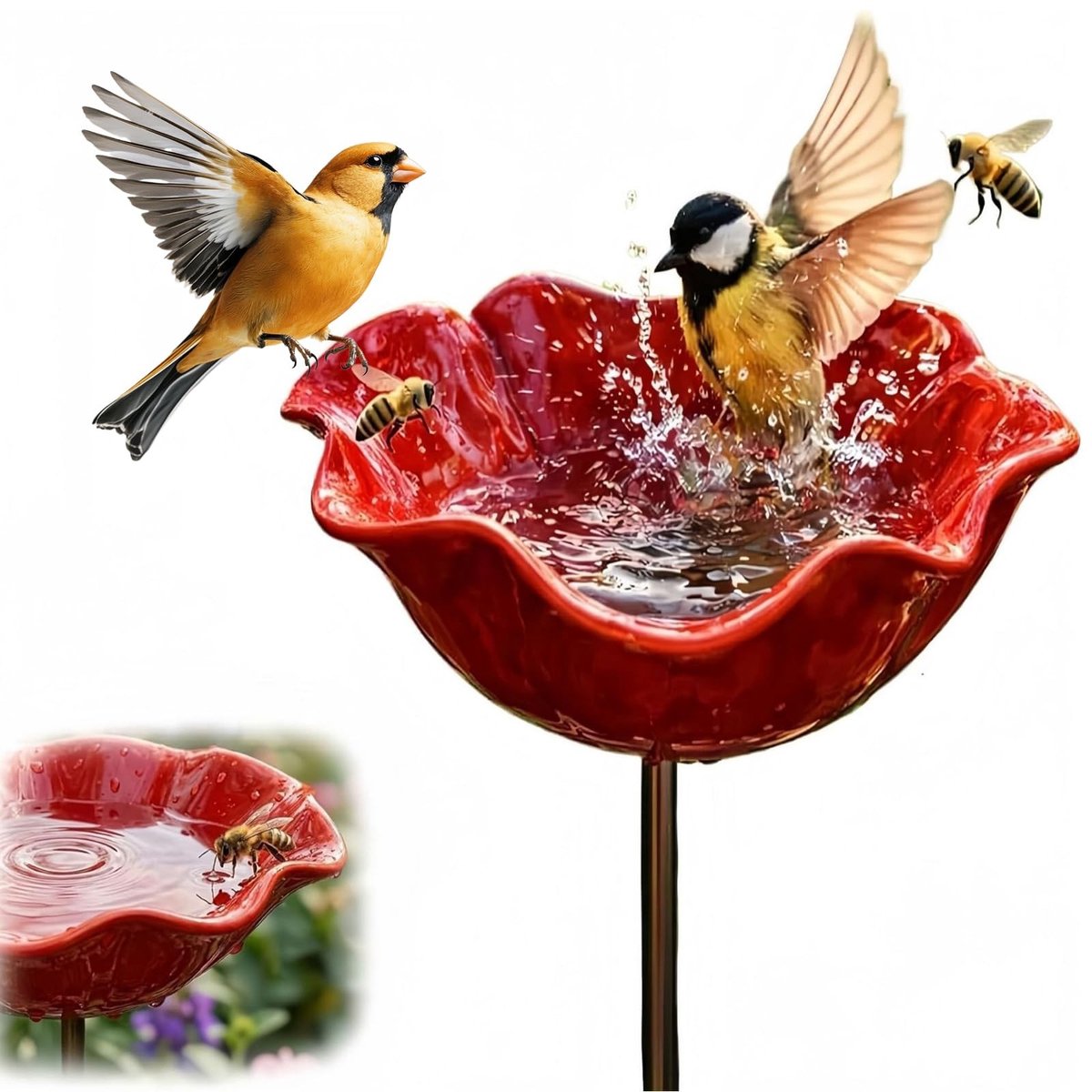 SolidKeus - Buitenvoederhuis en Vogelbad voor Tuin en Buitenruimte
