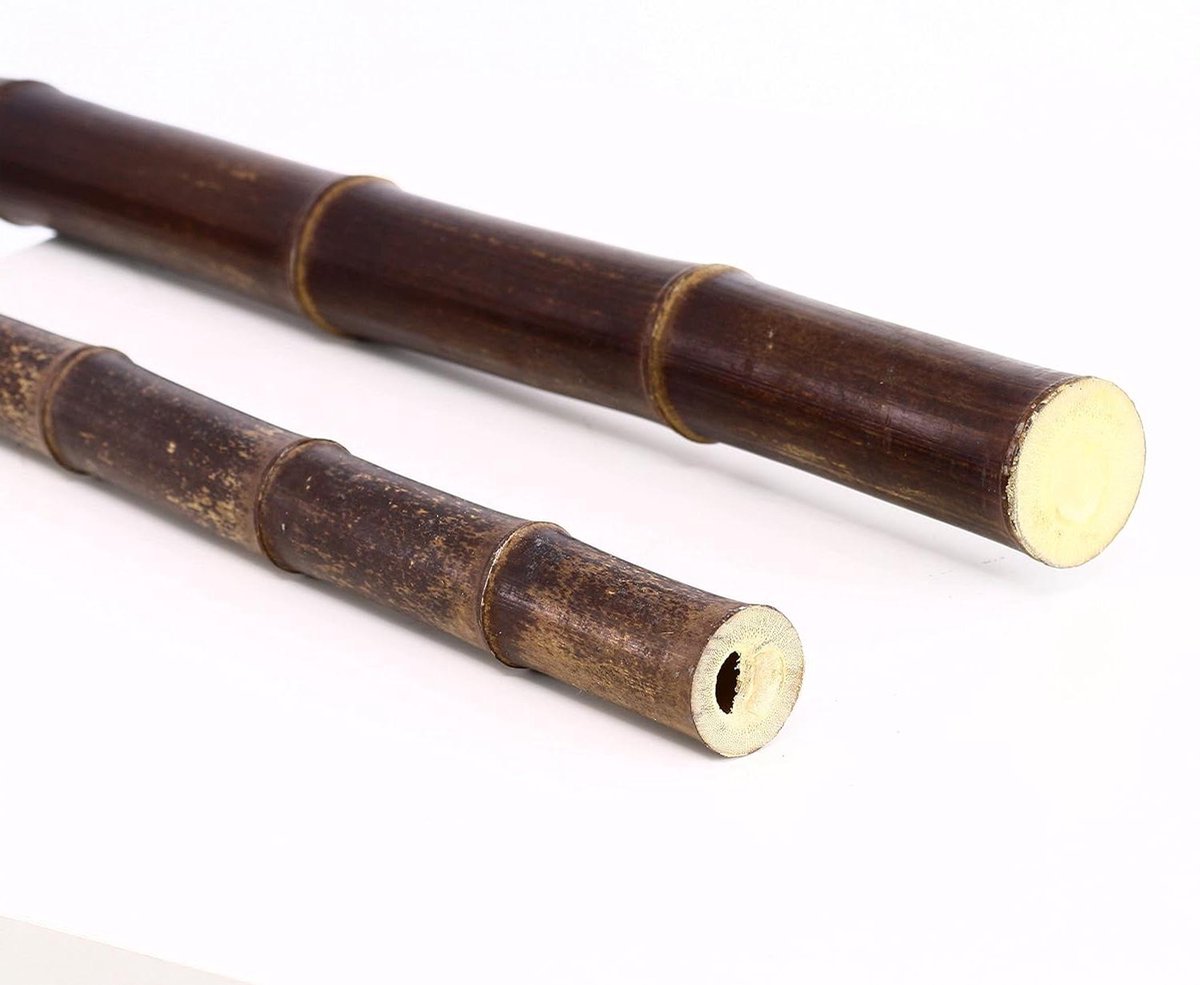 Bamboe Nigra Buis - Bamboestok Sierhekwerk - Decoratief Bouwmateriaal - Natuurlijk Gegroeide Unicum - 200 cm - Zwart-Bruin