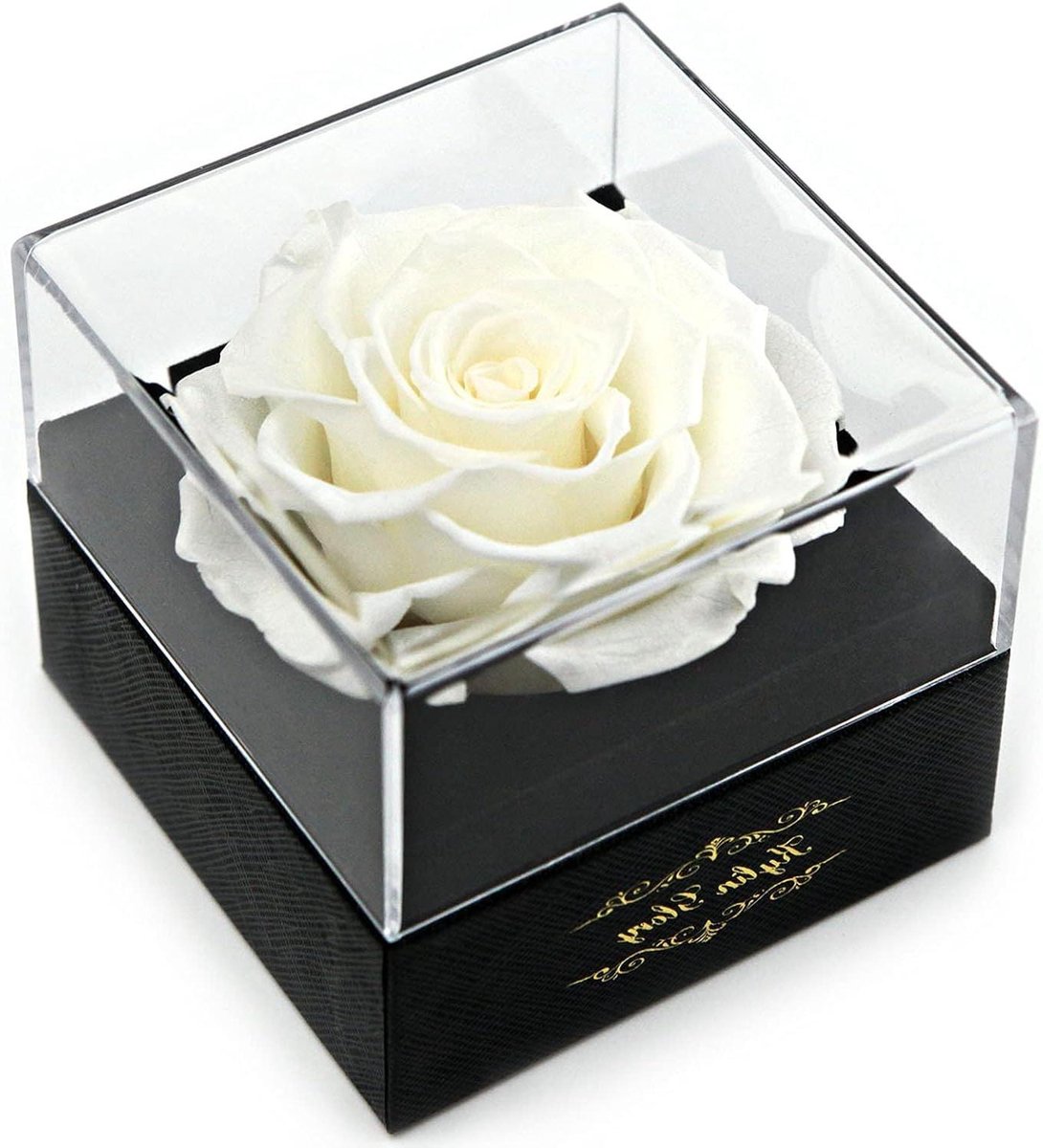Geconserveerde Roos - Echte Bloem - Cadeau Geven - Handgemaakt Decor - 9 cm Basis - Wit