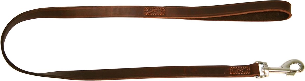 Hondenriem - Leiband - Veilig Uit Laten - Genaaid - 200 cm - Bruin