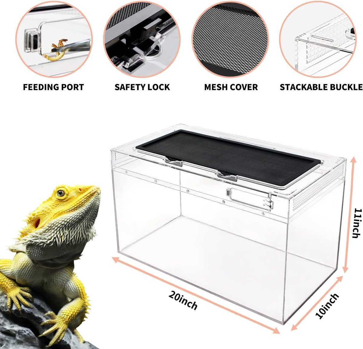 Growth Terrarium Complete set, 50 x 25 x 27 cm faunarium voor slakken, insecten, waterschildpadden, vogelspinnen, springspinnen, luipaard gekko, bebaarde draak, kikker, aquarium, emietkreeften thumbnail 2