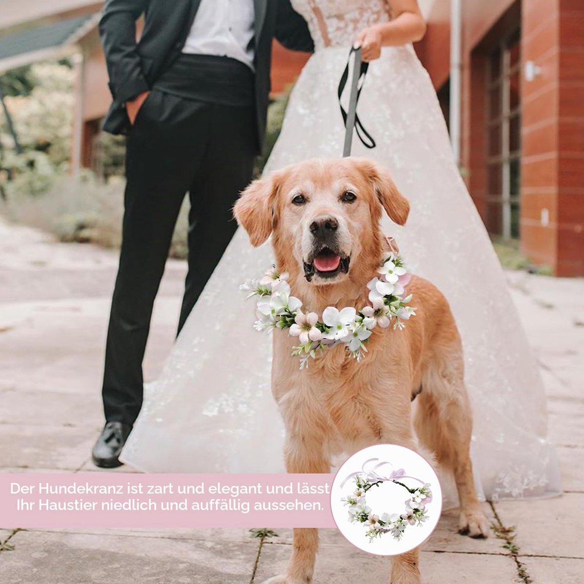 Bloemenkrans hoofdtooi, haarkrans bloemen, vlinderdas voor honden, hond bruiloft, strik hond, bloemenkrans, strik, huisdier, bloemenring voor foto-rekwisieten