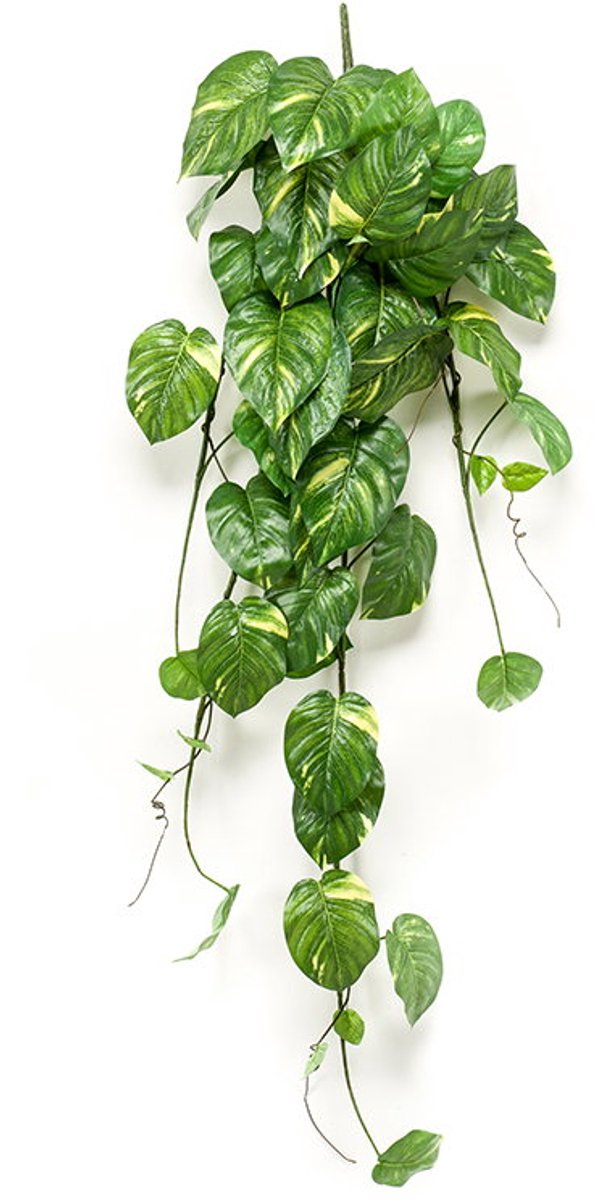 Emerald Scindapsus pictus bush green/grey 24 cm kunstbloem zijde nepbloem E... grijs