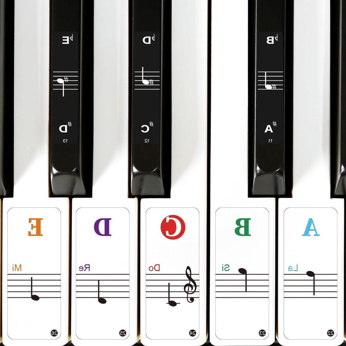Piano Toetsenbord Stickers - Notitie Labels - Muziek Leren - Verwijderbaar en Kleurrijk - Voor 88/61/54/49 Key - Transparant