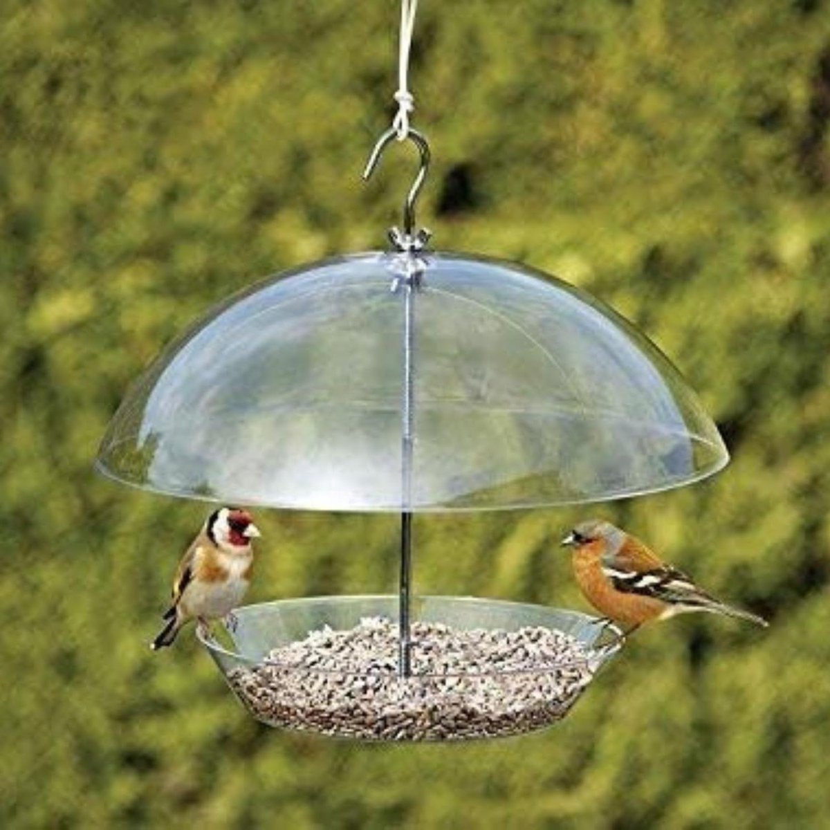 Vogelvoeder Koepel - Vogelhuisje Voederbak - Vogels Voeren - Verstelbare Luifel - 30cm Breed - Transparant
