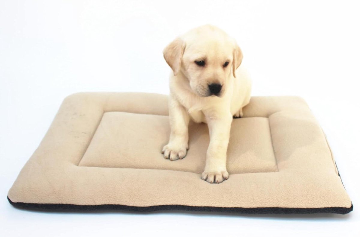 Hondenmand - Honden kussen - Comfortabele Rust - Dubbelzijdig - 56 cm - Grijs