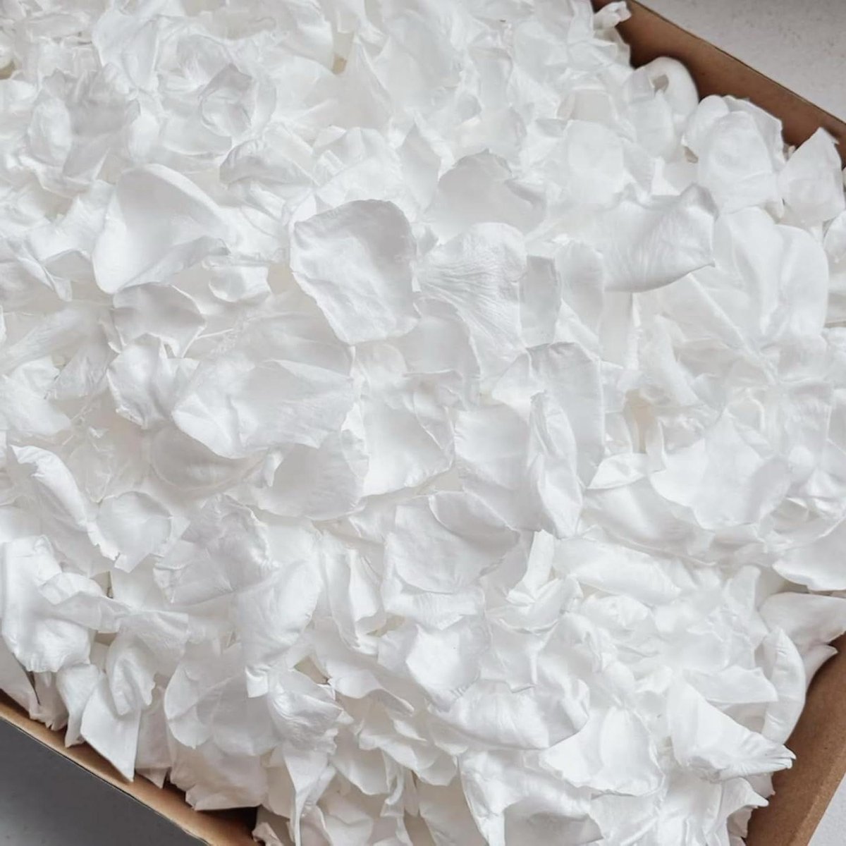 Witte Rozenblaadjes - Echte Bloemblaadjes - Bruiloft Decoratie - Gevriesdroogd - 300 stuks - Wit