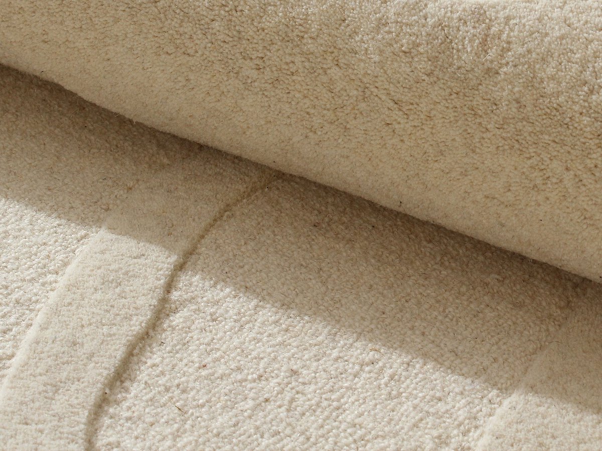 Vente-unique Getuft vloerkleed 100% wol - 160 x 230 cm - Beige - 2200g/m² - ALINOR