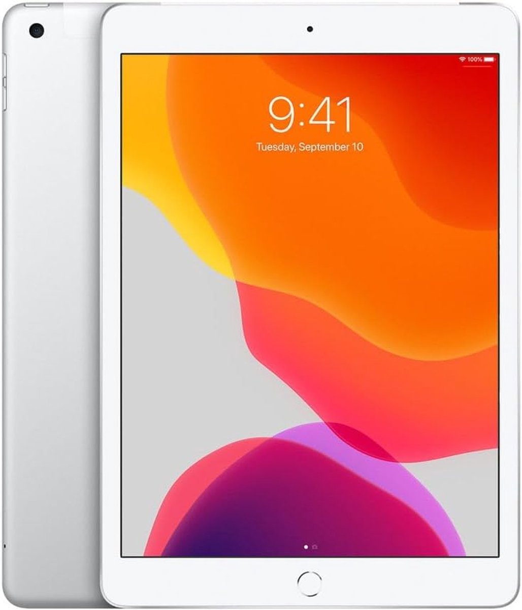 SnelShoppen - Refurbished 2019 Tablet 10.2-inch Wi-Fi + Cellular 32GB Silver - Ideaal voor Werk, School en Ontspanning