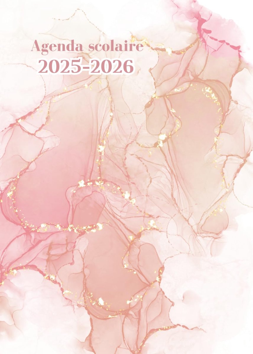 SnelShoppen - Agenda Scolaire 2025-2026 | Organisateur Scolaire Journalier A5 | Marbre Girly Rose | Ideaal voor Primaire, Collège en Lycée | Van Augus