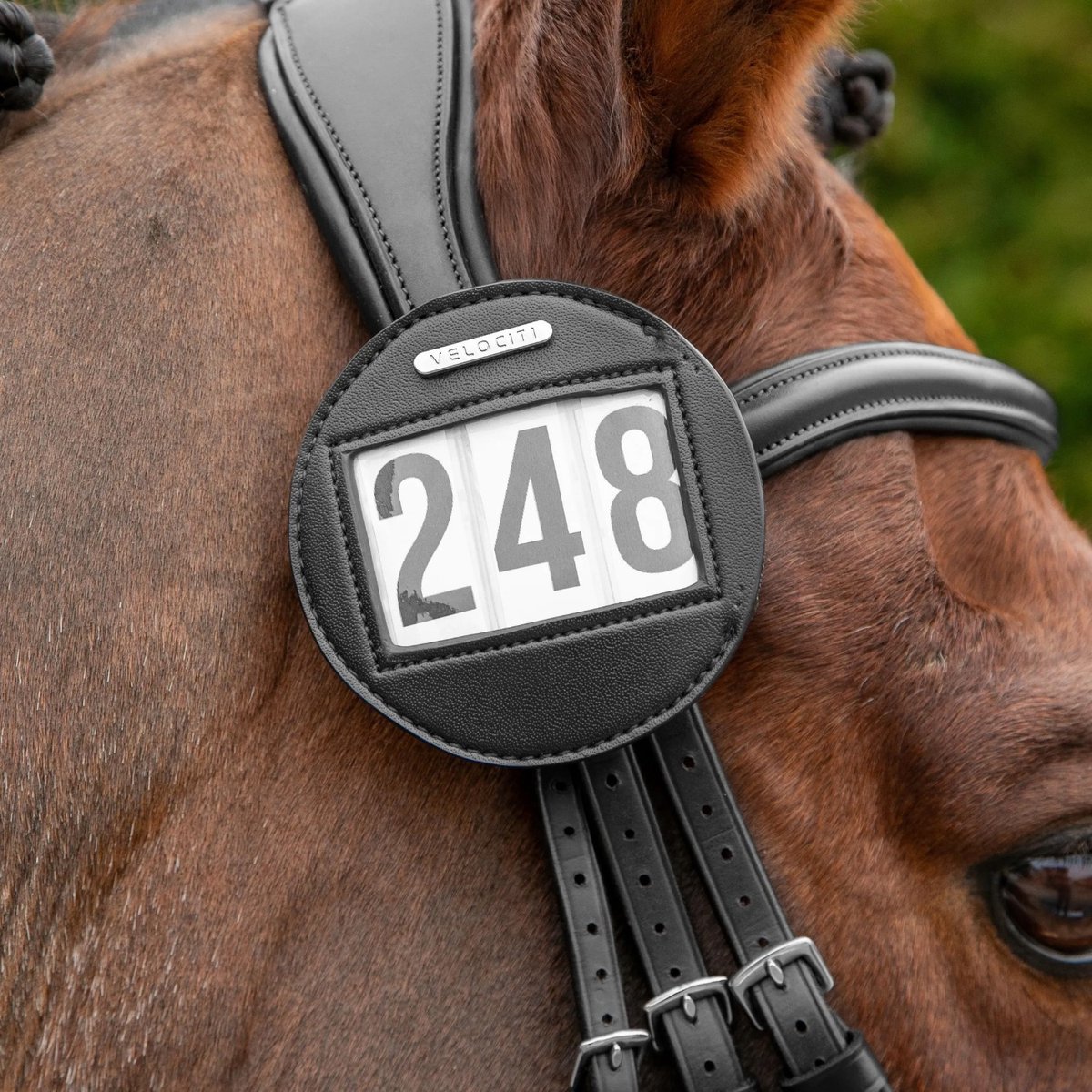 Shires Velociti Hoofdstelnummer Rond-Zwart