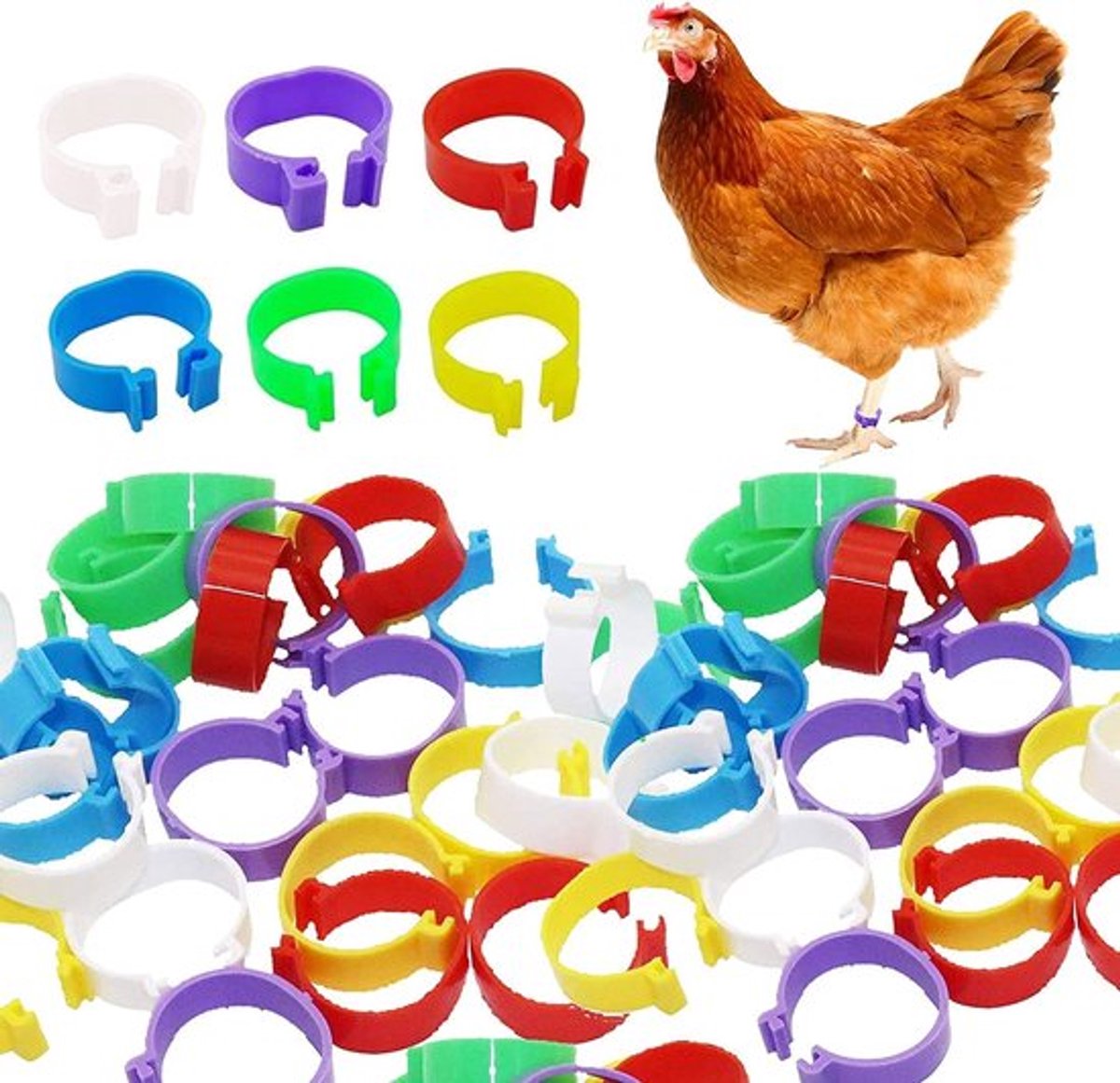 - Kleurige Legringen - Identificatie voor Dieren - 60 Stuks - Klein Dier - Kippen en Varkens - Eenvoudig te gebruiken - 6 Kleuren
