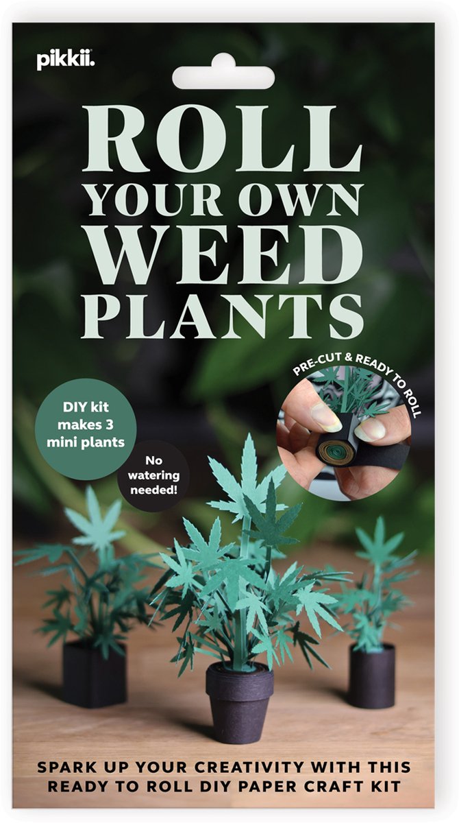 pikkii DIY Papieren Planten Set – Creatieve Knutselset voor Decoratie | Origineel Cadeau & Hobbyproject