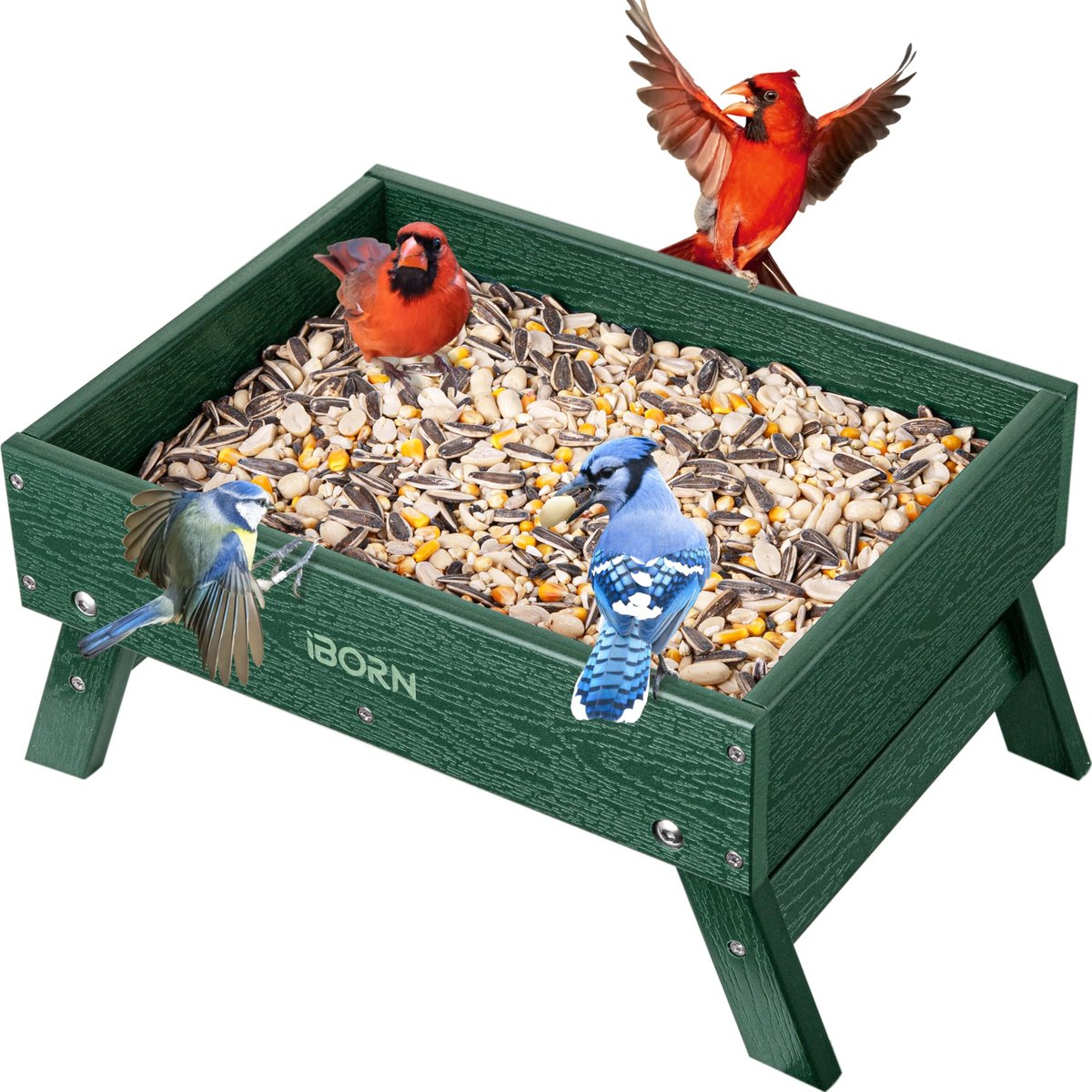 SnelShoppen - Ground Vogelvoederbak voor Buiten, Eekhoornplatform Feeder, 1,6 kg Capaciteit, WPC Gerecycled Kunststof, Groen, Tuinaccessoire