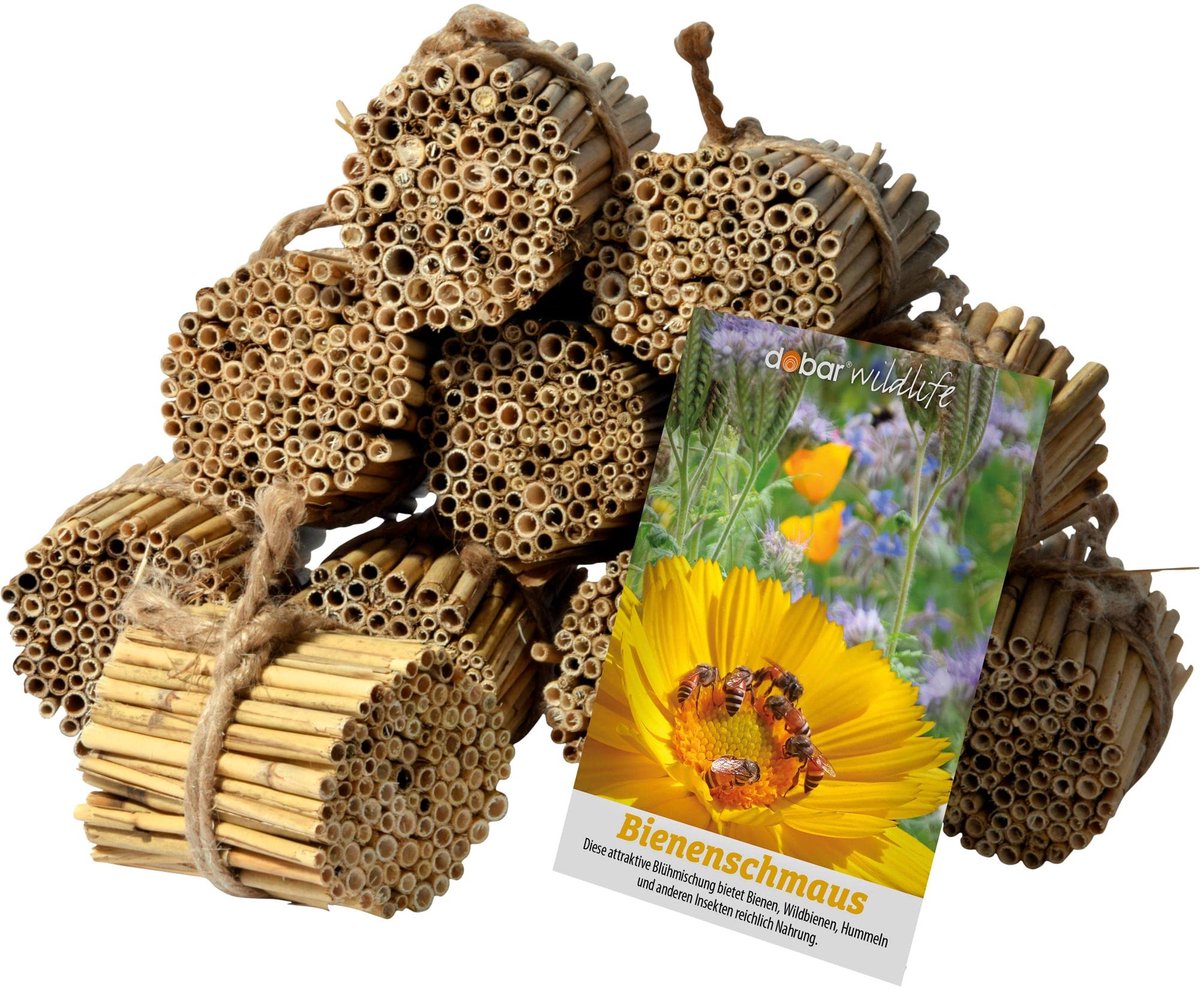 SnelShoppen - Rieten Rietjes Set 1.000 Stuks - Insectenhotel Knutselset - Rietjes voor Wilde Bijenhotels - Nesthulp uit Riet - Inclusief Wilde Bloemza
