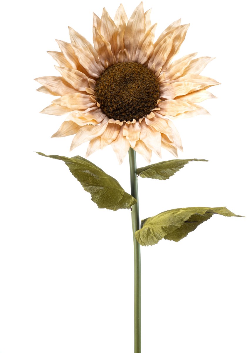 Emerald Kunstbloem Zonnebloem XL 90cm beige - Kunstplant voor binnen