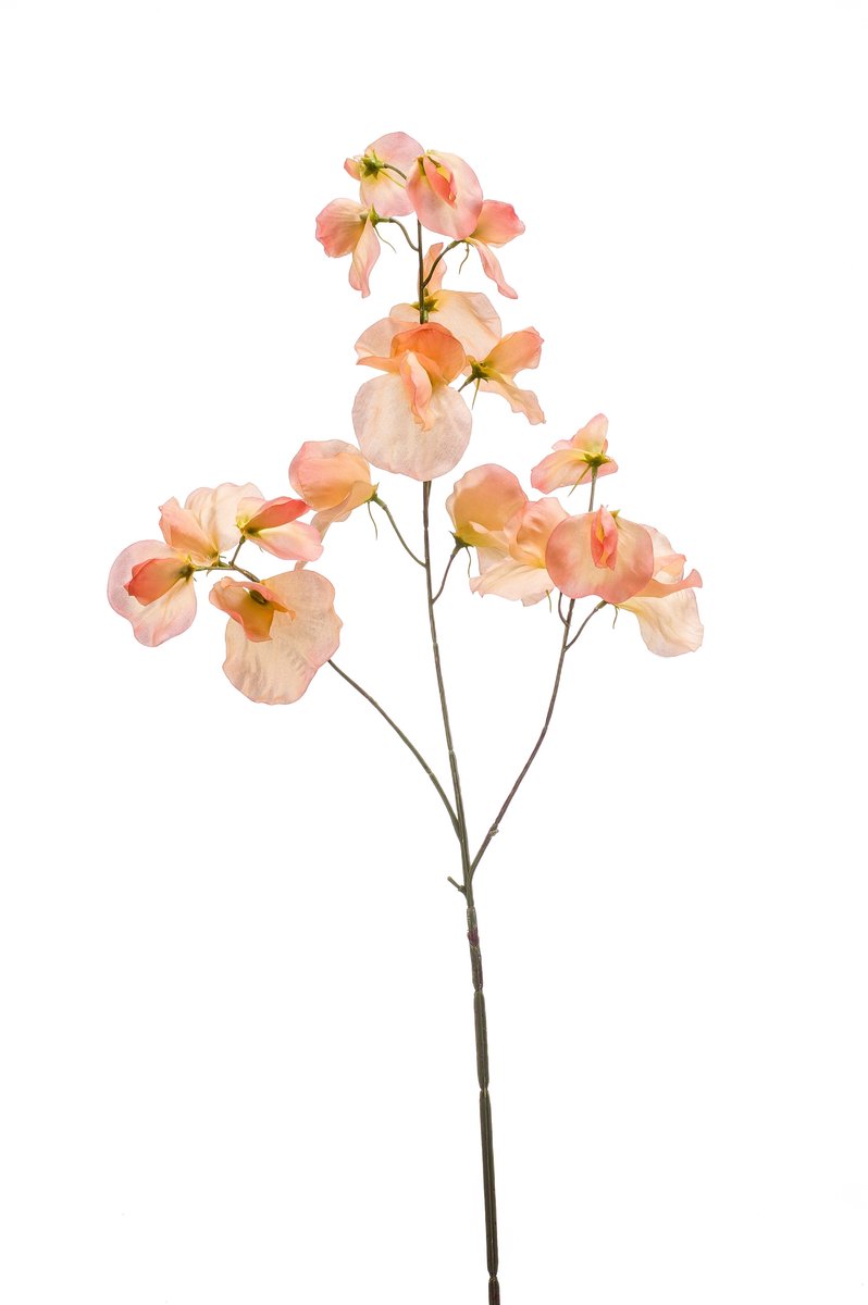 Emerald Kunstbloem Pronkerwt 75cm peach - Kunstplant voor binnen